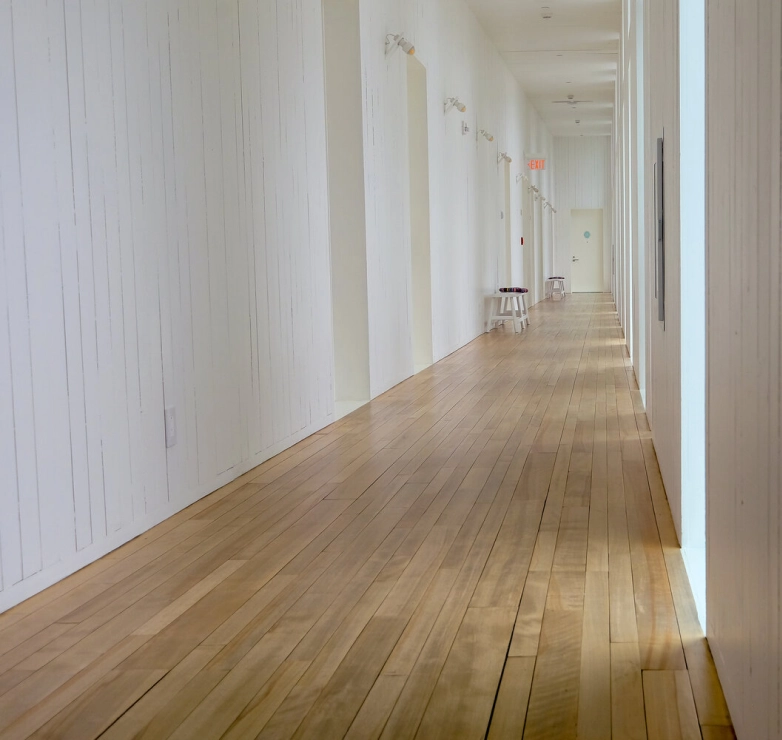 Everything You Need To Know About Birch Wood Flooring